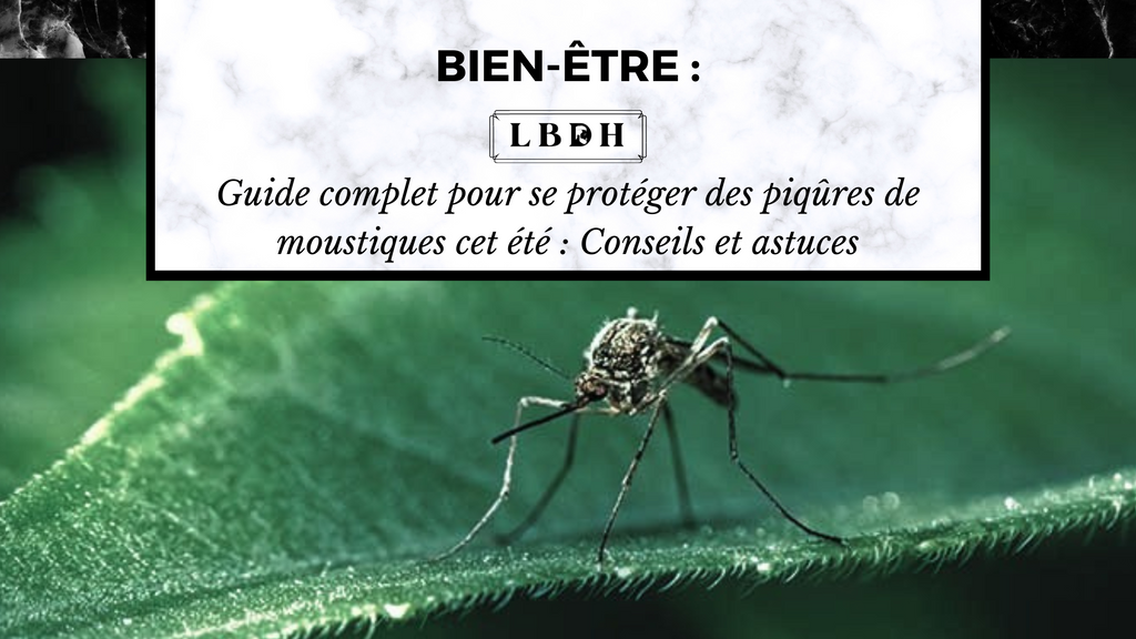 Guide complet pour se protéger des piqûres de moustiques cet été : Conseils et astuces