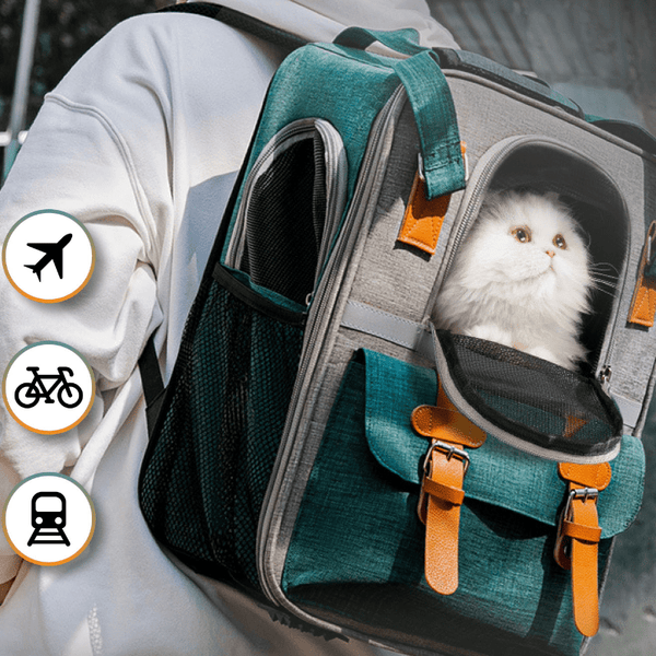 sac de transport pour chats et chiens lbdh avec un chat blanc à l'intérieur du sac qui regarde dehors