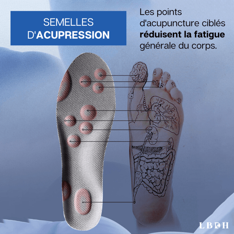 Kit d'embrayage VALEO 832451 au meilleur prix Kit d'embrayage VALEO 832451 au meilleur prix