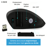 SOURIS ERGONOMIQUE SANS FIL VERTICALE