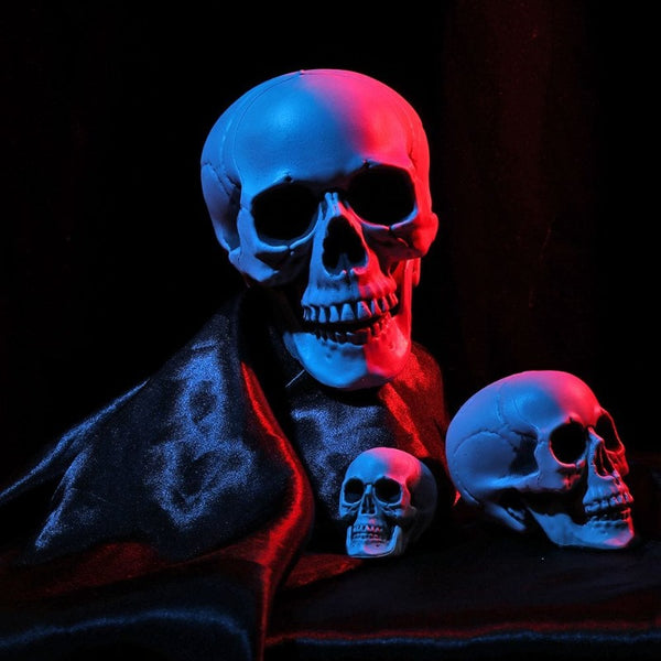 DÉCORATION HALLOWEEN CRÂNE