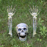DÉCORATION HALLOWEEN SQUELETTE