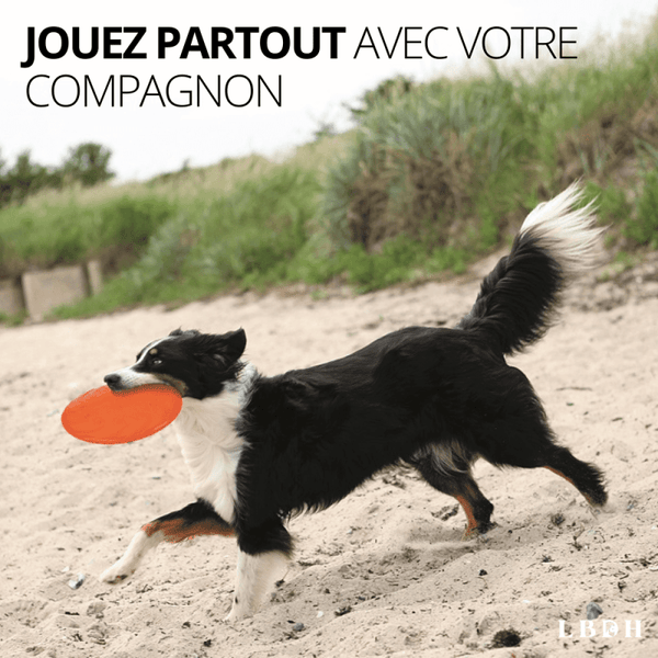 Frisbee pour chien Friz Fly