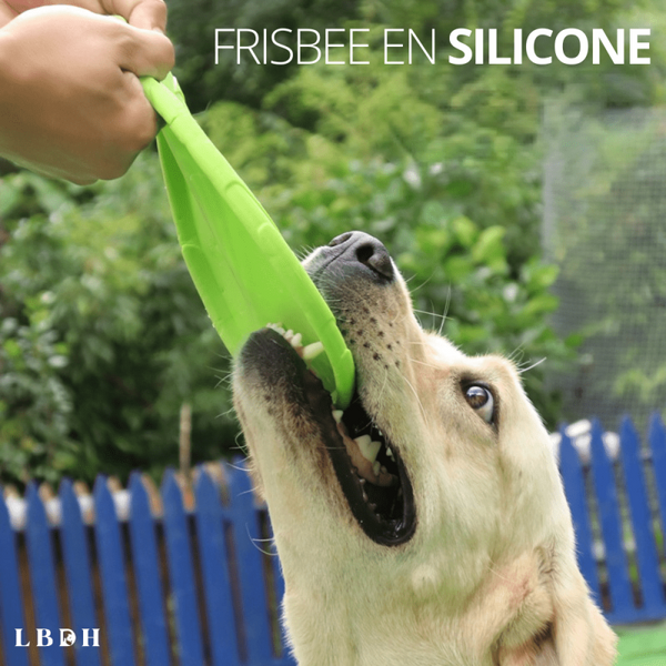 Frisbee pour chien résistant – La Boutique Des Hommes