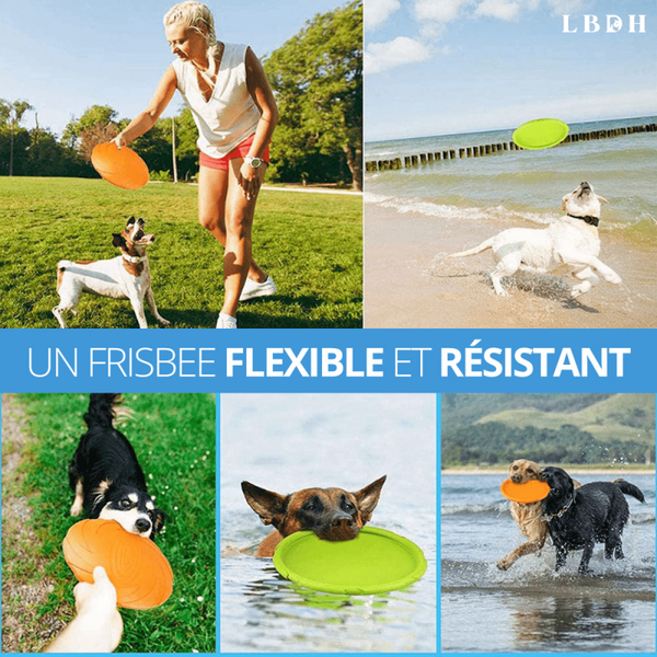 FRISBEE POUR CHIEN RESISTANT