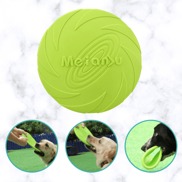 FRISBEE POUR CHIEN RESISTANT