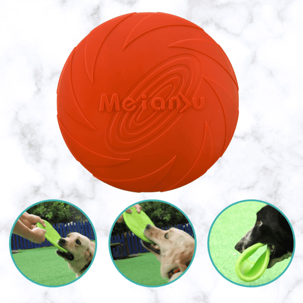 FRISBEE POUR CHIEN RESISTANT