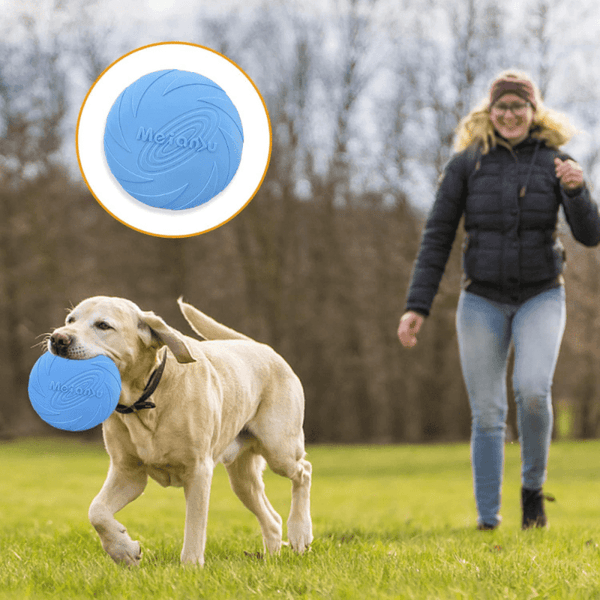 5 Pcs Frisbee pour Chiens, Frisbee Chien Frisbee Jouet Flottant pour Chien  Animaux Jouet Chien Indestructible Jouet Chien Solide Jouet Chien