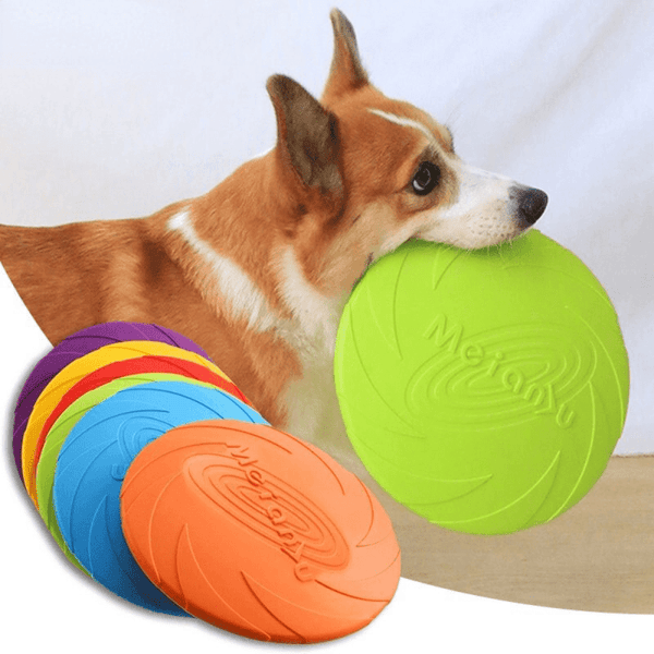 FRISBEE POUR CHIEN RESISTANT