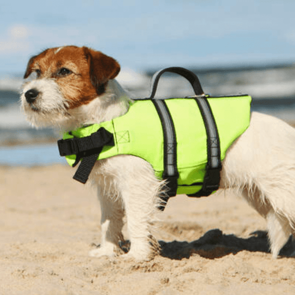 GILET DE SAUVETAGE POUR CHIEN