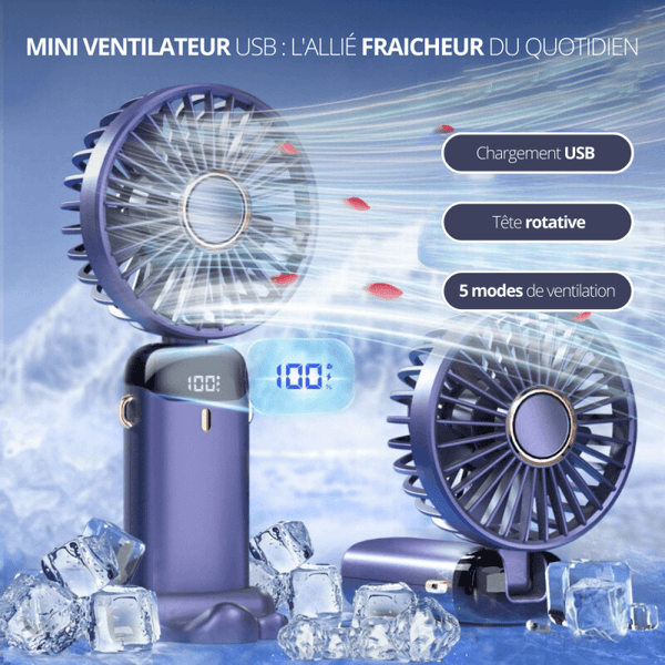 Mini Ventilateur Portable USB – La Boutique Des Hommes