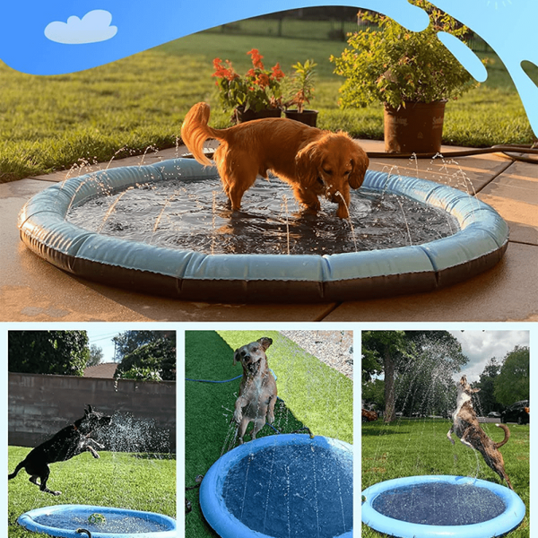 PISCINE POUR CHIEN