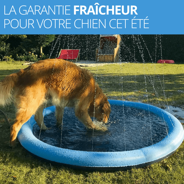 Piscine Pliable pour chien - ODOMESTIC