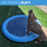 PISCINE POUR CHIEN