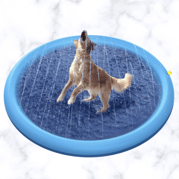 PISCINE POUR CHIEN