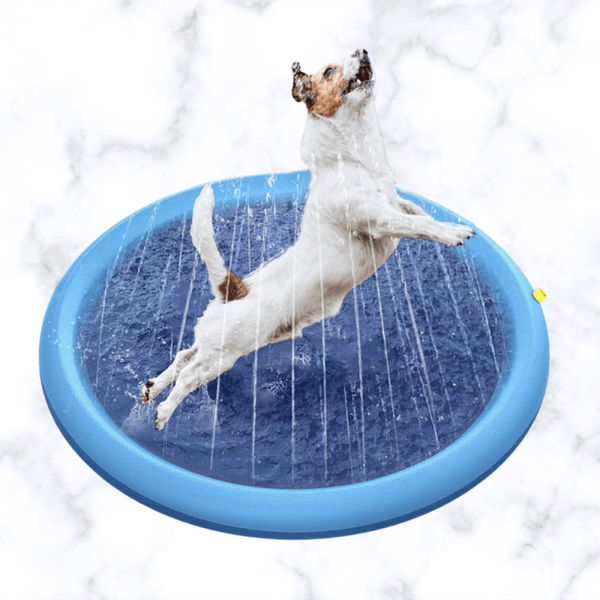 PISCINE POUR CHIEN