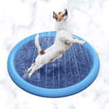 PISCINE POUR CHIEN