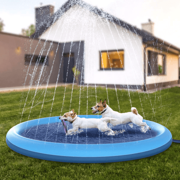 Piscine pour enfants et animaux - Piscine pour chiens - Piscine pour chiens  - Bain