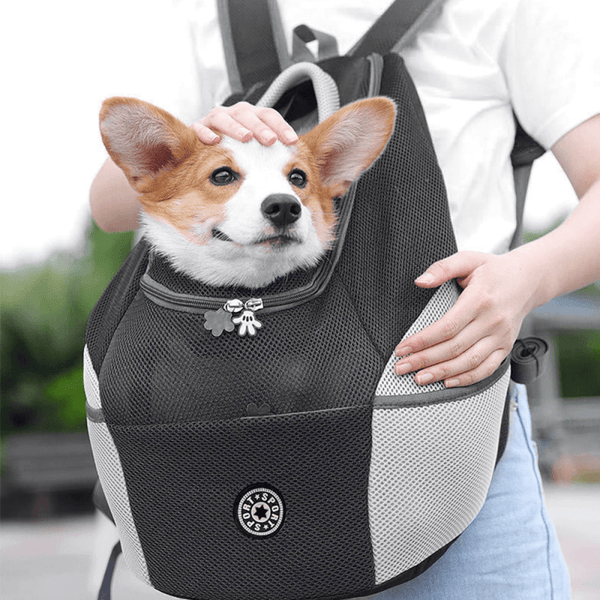 Sac à dos sales de transport pour chien