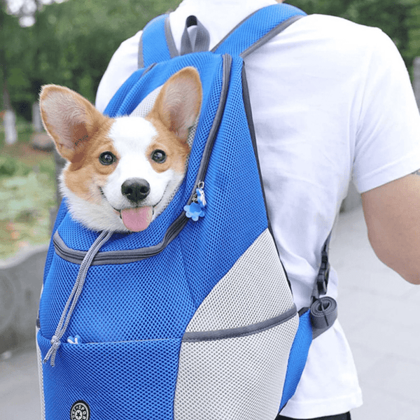 SAC A DOS DE TRANSPORT POUR CHIEN