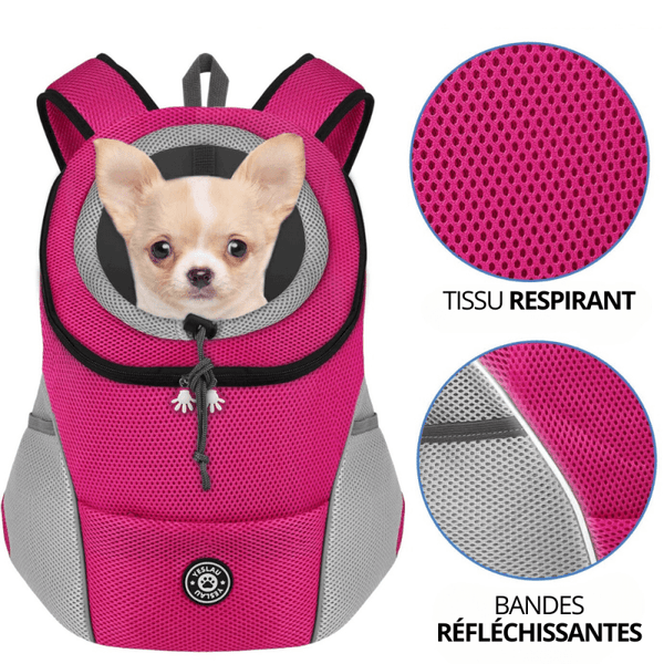 Sac de voyage et ses accessoires pour chiens