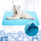 Tapis rafraichissant pour chien