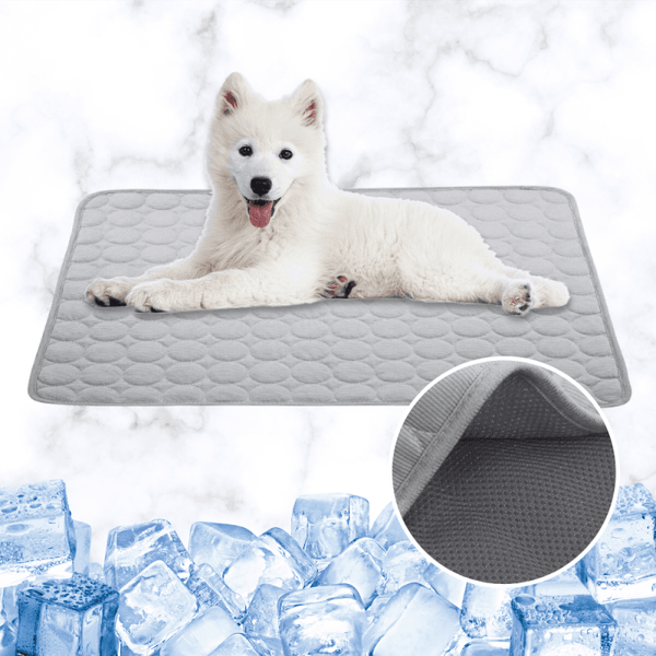 Tapis rafraichissant pour chien