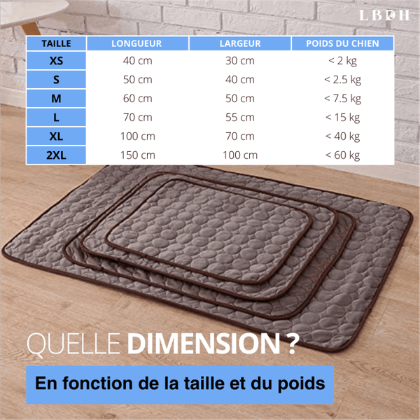 Tapis rafraichissant pour chien