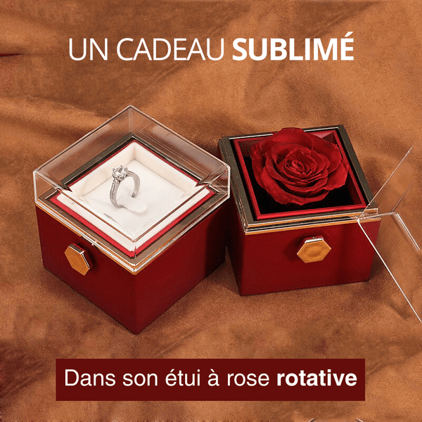 Boîte-cadeau de bijoux de rose préservée, cadeaux pour les femmes