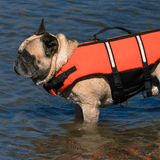 GILET DE SAUVETAGE POUR CHIEN