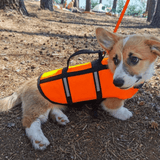 GILET DE SAUVETAGE POUR CHIEN