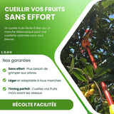 CUEILLE FRUITS